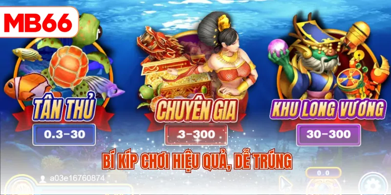 Bí kíp chơi hiệu quả, dễ trúng
