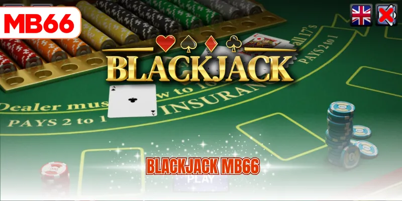 Blackjack MB66