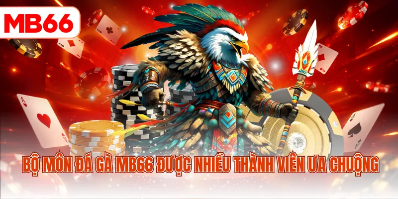 Bộ môn đá gà MB66 được nhiều thành viên ưa chuộng