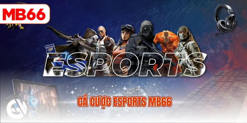 Cá cược Esports MB66