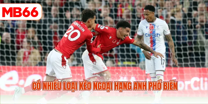 Có nhiều loại kèo Ngoại Hạng Anh phổ biến
