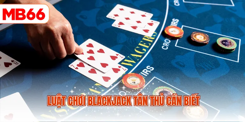 Luật chơi Blackjack tân thủ cần biết