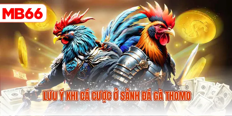 Lưu ý khi cá cược ở sảnh đá gà Thomo