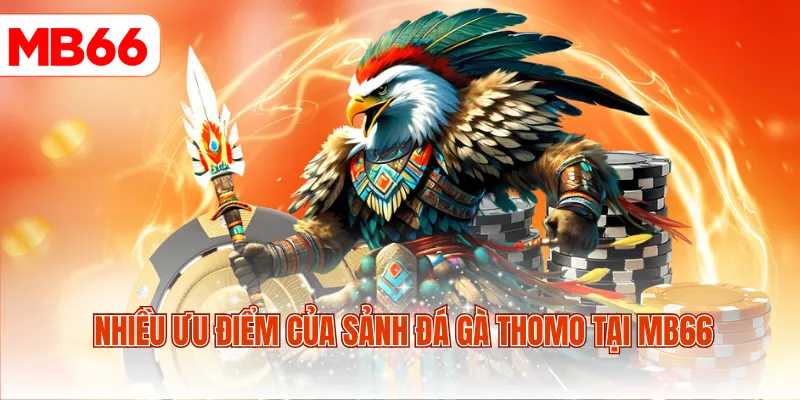 Nhiều ưu điểm của sảnh đá gà Thomo tại MB66
