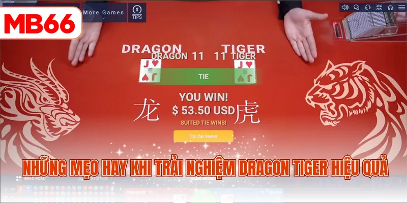 Những mẹo hay khi trải nghiệm Dragon Tiger hiệu quả
